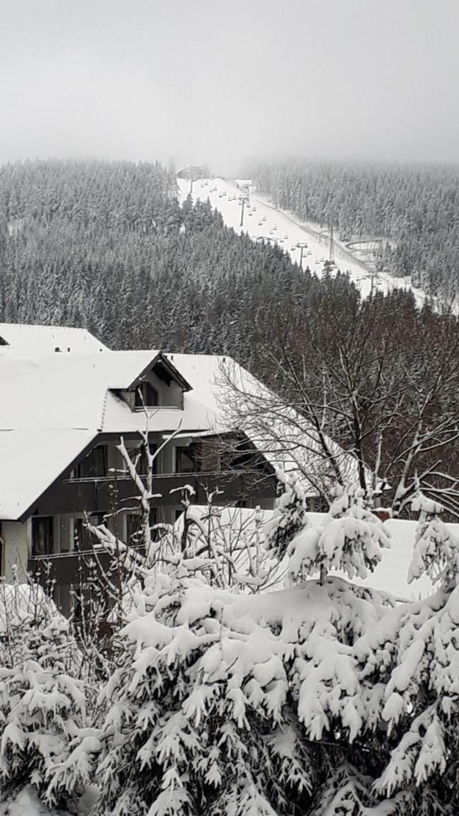 Ferienwohnung Steffens Hahnenklee Wohnung 25 Goslar Zewnętrze zdjęcie